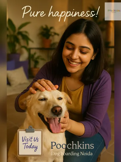 The connection we build with each dog is the most important part of what we do. A gentle touch and lots of love help them feel secure and happy, making Poochkins their second home.
