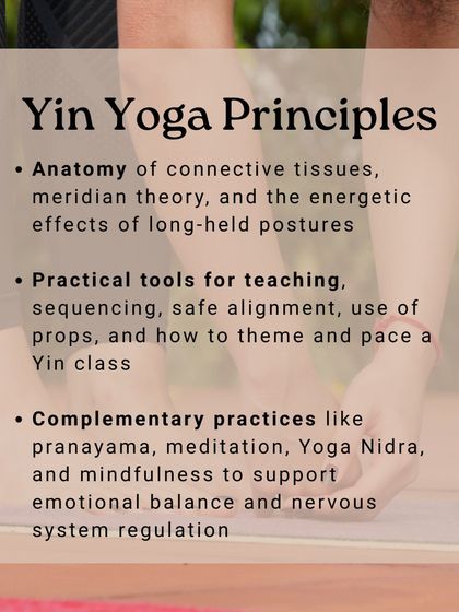 Our Yin Yoga training covers the core principles of the practice. You will learn about the anatomy of connective tissues, meridian theory, safe sequencing, and complementary practices like pranayama and Yoga Nidra.