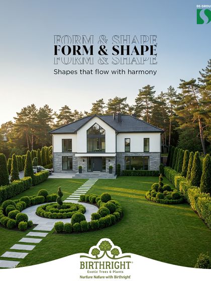 A well-designed landscape uses form and shape to create harmony. We help you select and arrange plants to build rhythm and balance, turning your garden into a cohesive and intentional space.