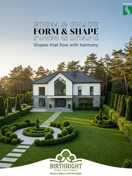 A well-designed landscape uses form and shape to create harmony. We help you select and arrange plants to build rhythm and balance, turning your garden into a cohesive and intentional space.