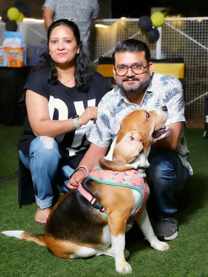 This Beagle and his parents strike a perfect pose. We cherish the relationships we build with both the dogs and their families.