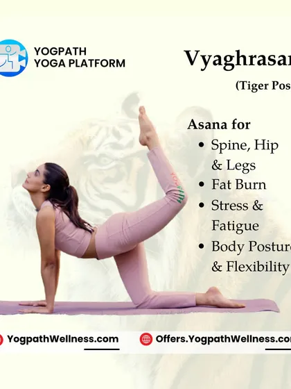 Vyaghrasan, or Tiger Pose, is a fantastic asana for toning the spine, hips, and legs while actively aiding in fat burn. It also improves body posture and helps relieve stress, making it a complete wellness pose.