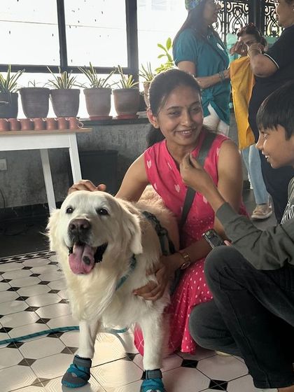 Deepthi - Dog Training & Behavior Modification Community & Group Activities photo 8