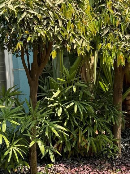 Spaces for Stillness photo 18