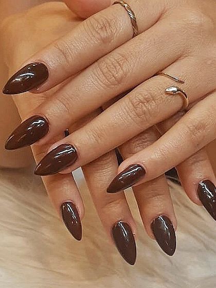 A glossy, dark chocolate brown manicure on long, pointed stiletto nails. This is a sophisticated and daring color choice that exudes confidence.