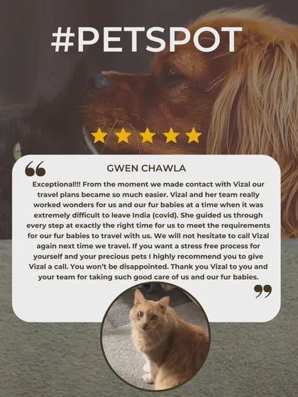 Gwen Chawla's review mentions how we helped her navigate a difficult move during COVID. I'm always available for my clients, even after they've left India, to help with guidance.