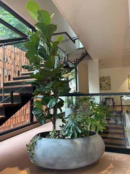 A full view of the 'Luna' planter in a contemporary home, showing how it complements the modern architecture and glass railings.