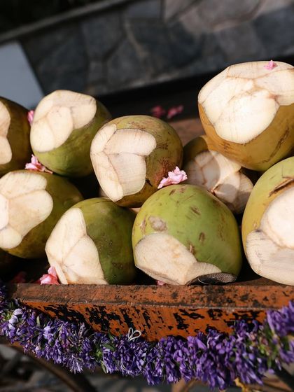 Fresh tender coconuts offered to guests, a refreshing and welcome treat for an outdoor daytime event.