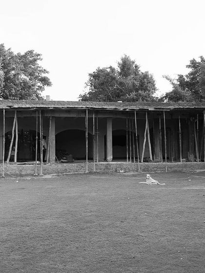 An exterior view of a project with temporary supports holding up a newly cast concrete overhang. This is part of the process of creating large, open verandas.