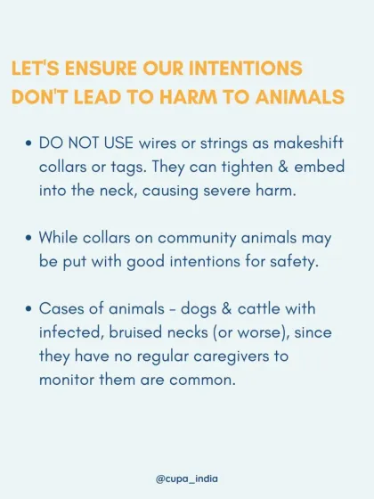 Cupa - Animal Cruelty Legal Aid & Advocacy Know Your Rights: A Guide for Feeders & Pet Owners photo 12