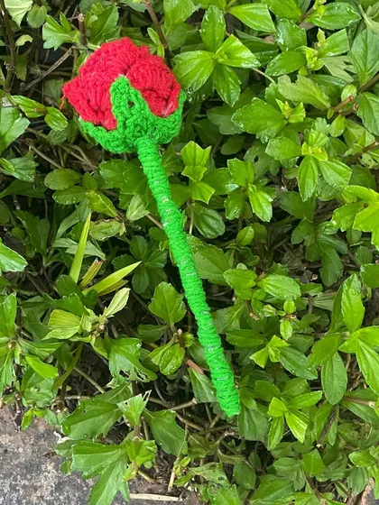 This is my handmade crochet rose, a flower that will last forever. I think it makes a really special gift for someone you care about.