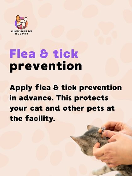 Fluffy Paws Pet Resort - Pet Grooming Health & Hygiene First photo 6