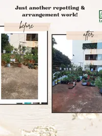 Garden Landscaping & Setup