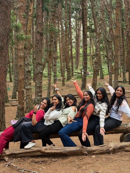 A group of girls posing on a log in the Kodaikanal pine forest.
