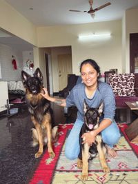 Dog Boarding & Training