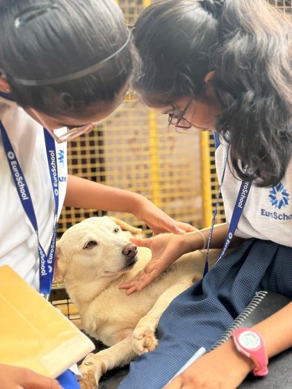 Charlie's Animal Rescue Centre - Community Outreach & Education Building a Kinder Generation: Youth & School Programs photo 4