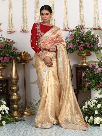 The full view of the beige and red saree, an elegant and sophisticated choice for any celebration.