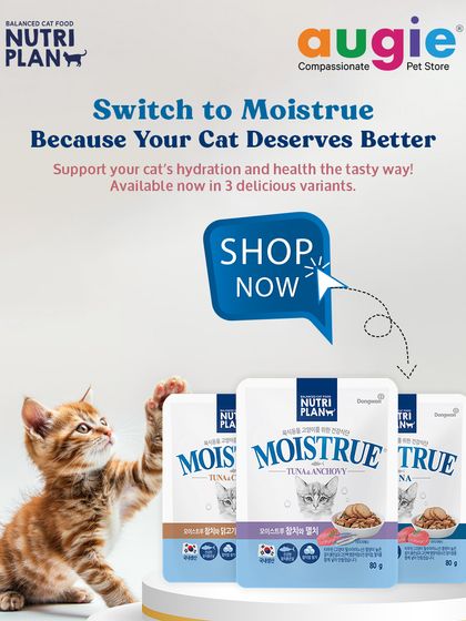 Augie Pets - Pet Supplies For Our Feline Friends: Premium Cat Nutrition photo 15