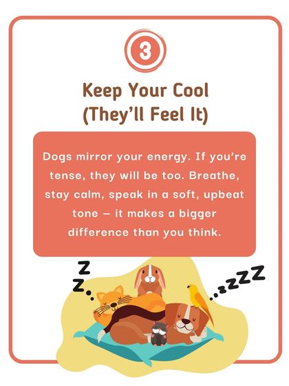 The third and perhaps most important tip for vet visits: keep your cool. Dogs mirror our energy, so if you stay calm and speak in an upbeat tone, it makes a huge difference in how they feel.