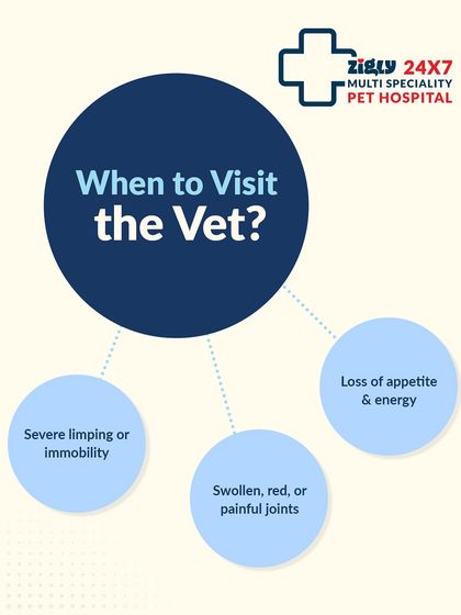 Zigly - Veterinary Services Specialized Care: Arthritis, Dental & Mobility photo 13