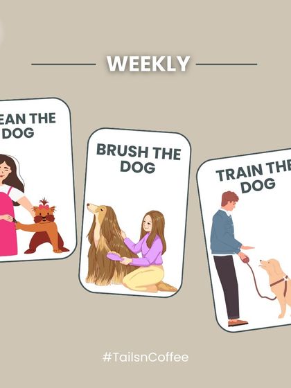 A simple weekly checklist for pet care. Taking time each week to clean, brush, and train your dog strengthens your bond and keeps them healthy and well-behaved.
