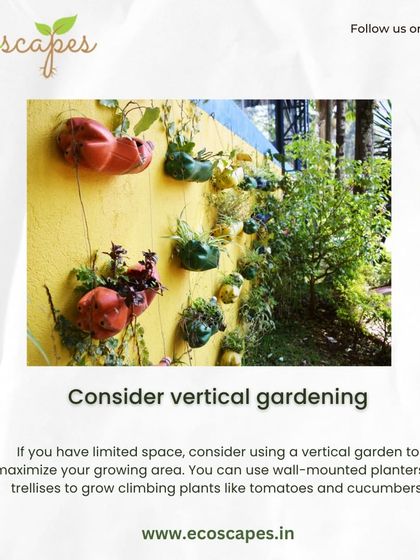 Ecoscapes Landscaping - Urban Gardening & Green Walls Urban Gardening Guides photo 14