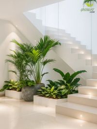 Interior Green Styling & Decor