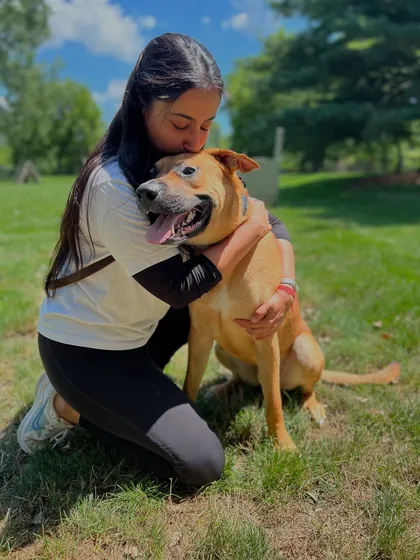 This is more than a job for me; it's my calling. Every dog I work with, like my dear student Doug here, leaves a paw print on my heart. This deep, personal connection is the foundation of my training philosophy and the success of our programs.