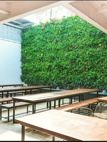 At 1131 Bar and Kitchen, we installed this flagship coir green wall in their open-air courtyard. Housing over 7,300 plants, this massive living installation is a central feature of the restaurant's design and significantly improves the air quality for a healthier environment.