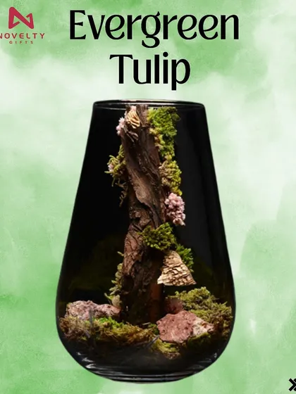 The 'Evergreen Tulip' terrarium features a beautiful arrangement of preserved moss and wood in a sleek, tulip-shaped glass vase. It's a unique, maintenance-free green gift.
