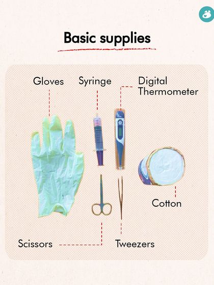 The Pack - Pet Parent Education & Workshops Your Dog's Health & Wellness photo 37