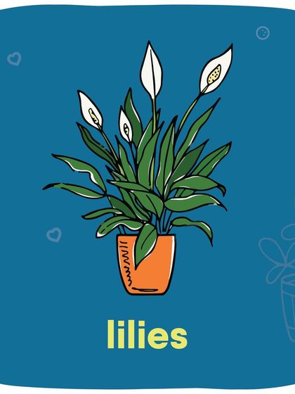 Lilies are extremely toxic to cats, with even a small amount of pollen being dangerous. It's best to avoid having them in the house if you have a feline friend.