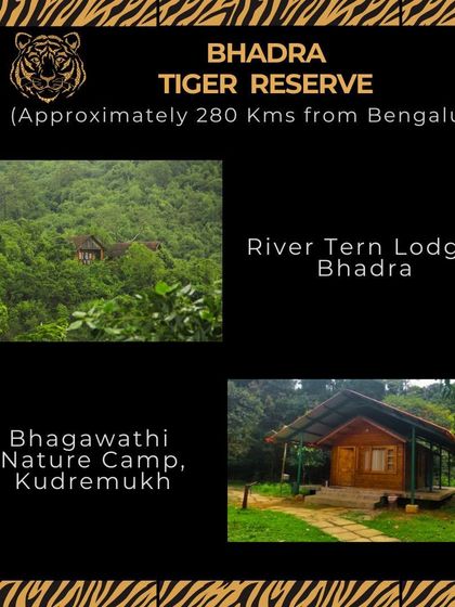 The Bhadra Tiger Reserve is a lush, dense forest about 280 kms from Bangalore. The River Tern Lodge is perfect for its backwater views, while Bhagawathi Nature Camp in Kudremukh offers a more rustic feel.