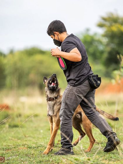 Garima Tomar - Board and Train Programs The Power of Play photo 7