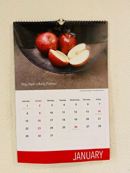 Shraddhadoodles - Custom Art & Merchandise A Look Back: Past Calendars photo 5