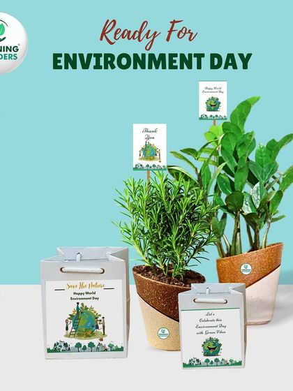 Greening Wonders - Garden Center & Plant Nursery Eco-Friendly Planters photo 5