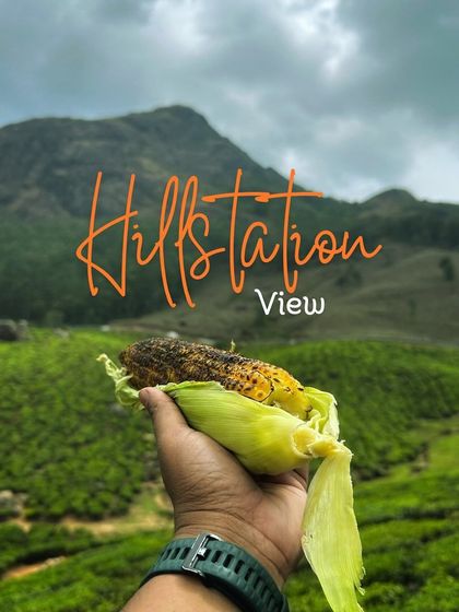 A graphic highlighting the stunning views from a hill station, featuring a snack against a backdrop of tea gardens.