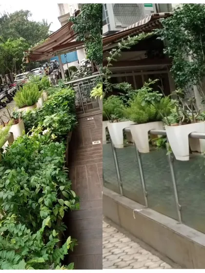 This collage shows an outdoor entryway transformation. I used a variety of lush, green plants in clean white planters to create a dense, layered garden that enhances the building's curb appeal.