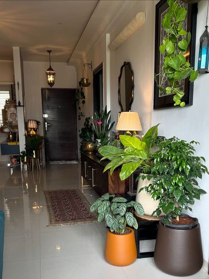 Sushmita - Home Styling & Decoration My Green Sanctuaries: Balcony & Indoor Plants photo 17