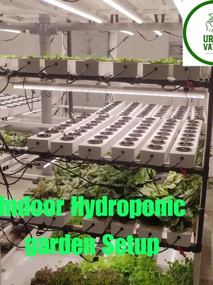 An indoor hydroponic garden setup perfect for homes, restaurants, or small commercial operations.