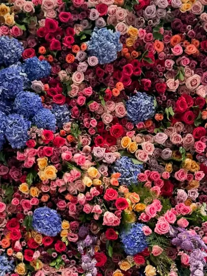 A flower wall should be a living tapestry of color and texture. I designed this backdrop with frothy hydrangeas and a dense field of vibrant roses to create an immersive and dreamy setting, perfect for photos at a bridal shower or special event.