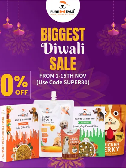 Here are more of our festive sale announcements, including for Diwali, Christmas, and Independence Day. I always try to make these celebrations special for your pets too.