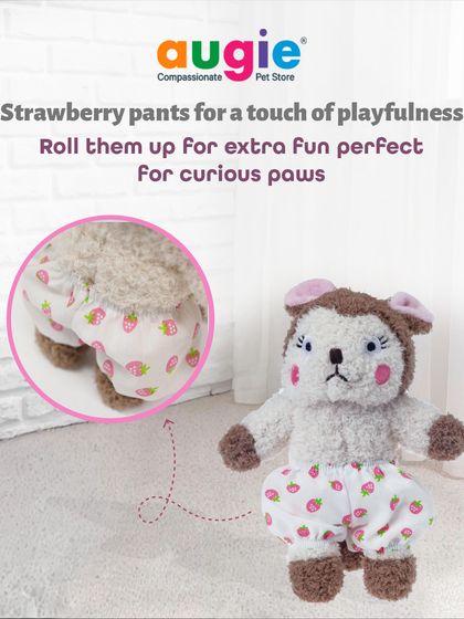 Augie Pets - Pet Supplies Playtime & Cozy Comforts photo 10