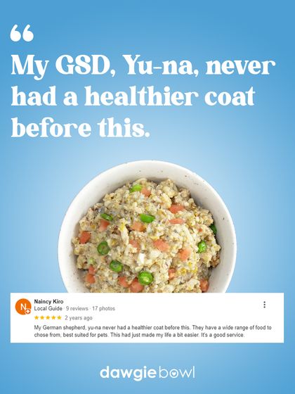 A healthy coat is a sign of a healthy pet. This German Shepherd's owner saw a remarkable improvement, which is a direct result of our balanced recipes packed with essential fatty acids and vitamins for skin and fur health.