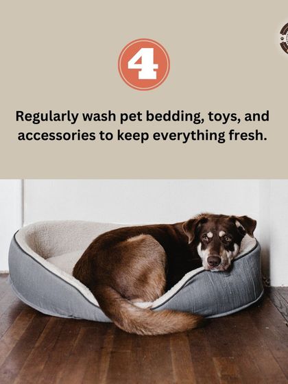 Good hygiene is key to a healthy pet. This tip reminds us to regularly wash pet bedding, toys, and accessories to keep everything fresh and clean for your furry family member.