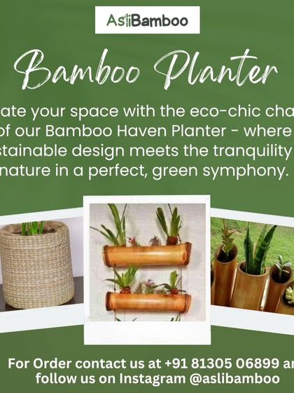 A promotional image for our bamboo planters. It showcases different styles, from woven baskets to raw bamboo stalk planters, highlighting their eco-chic charm and ability to bring nature indoors.