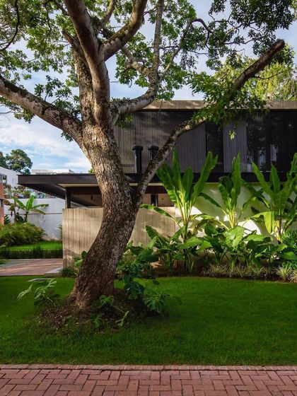 A mature tree is preserved and made a feature of this modern home's landscape. We design around existing natural elements, integrating them into the overall architectural and garden plan.