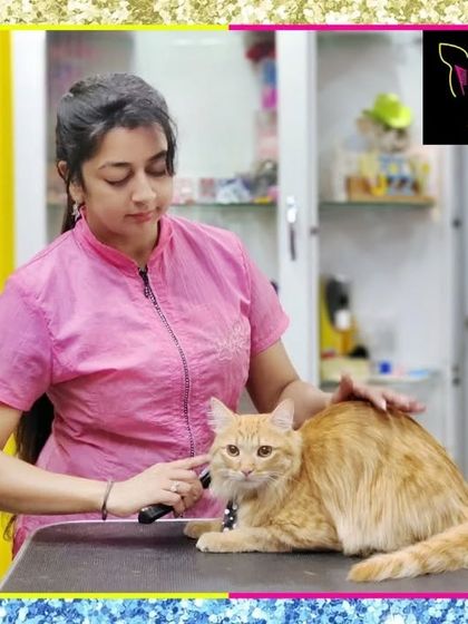 Fuzzy Wuzzy - Pet Grooming & Spa Expert Cat & Rabbit Grooming photo 20