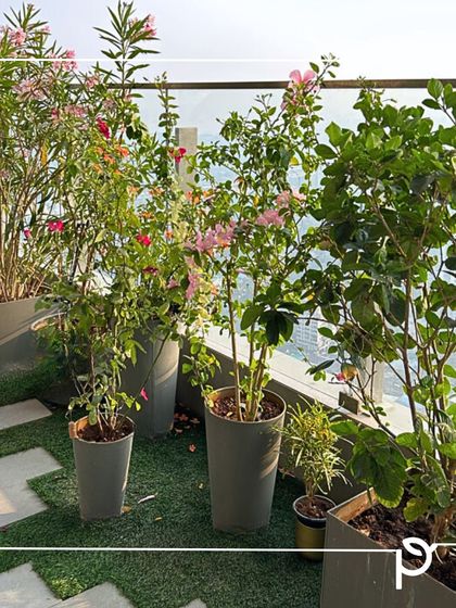 Balcony & Terrace Transformations photo 10