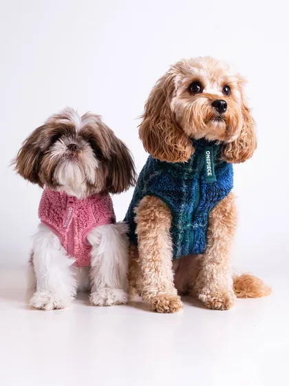E-commerce photography needs to be clean, sharp, and full of personality. This shot for OnePiece pet wear proves that even simple product photos can be heartwarming and effective, making customers feel an immediate connection with the brand.